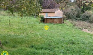 Photo N° 6