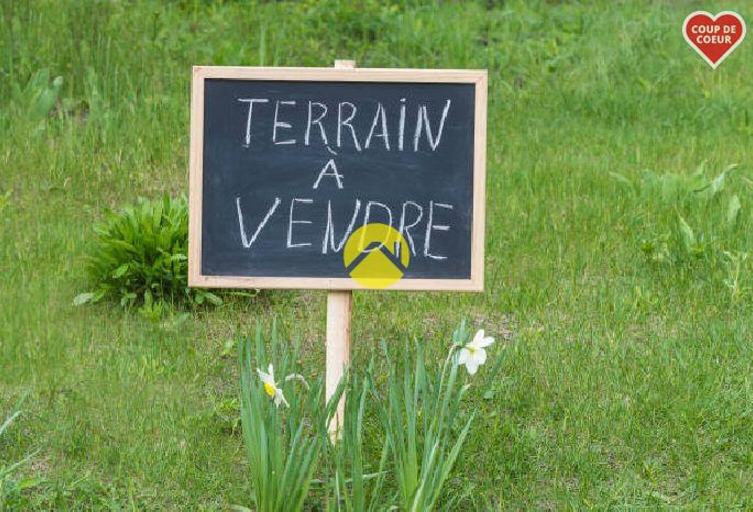 TERRAIN CONSTRUCTIBLE 995 M2 — photo 1