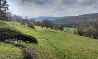 Photo N° 3