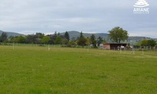 Photo N° 9