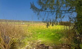 Photo N° 4