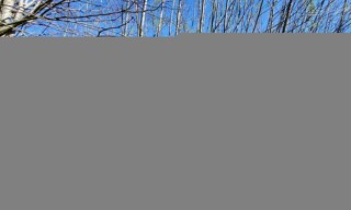 Photo N° 4