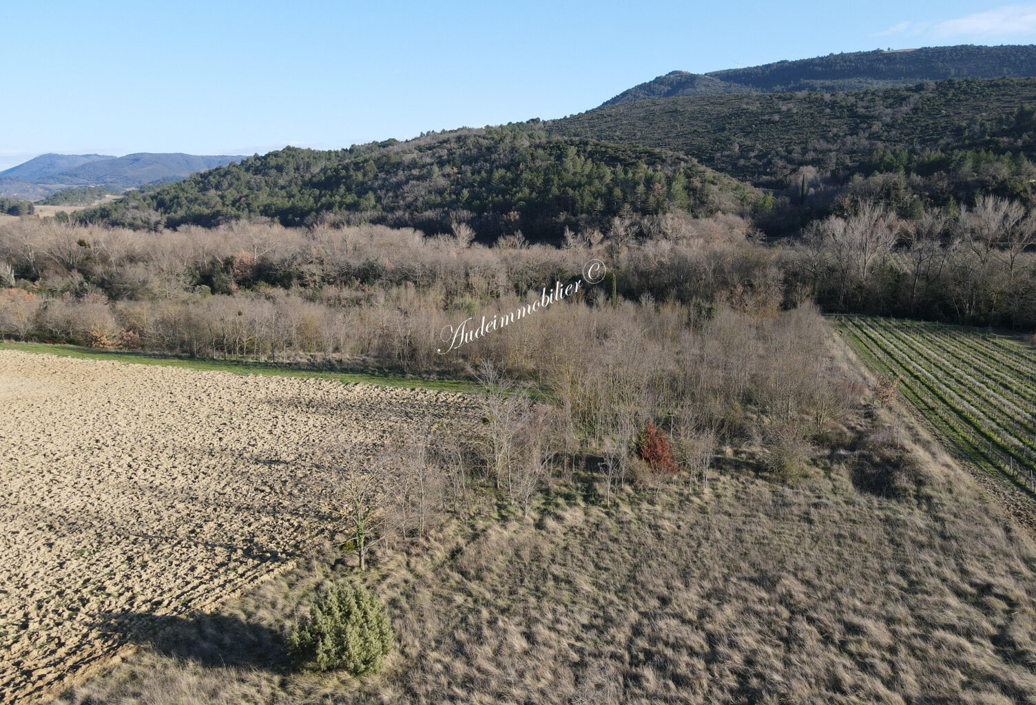 Terrain agricole de plus de 1ha — photo 1