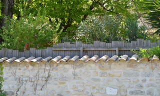 Photo N° 5