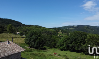 Photo N° 5
