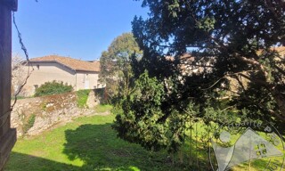 Photo N° 5