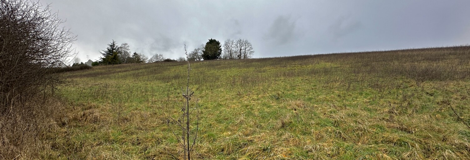 Terrain  1303 m² à vendre à Courtenay (45320)