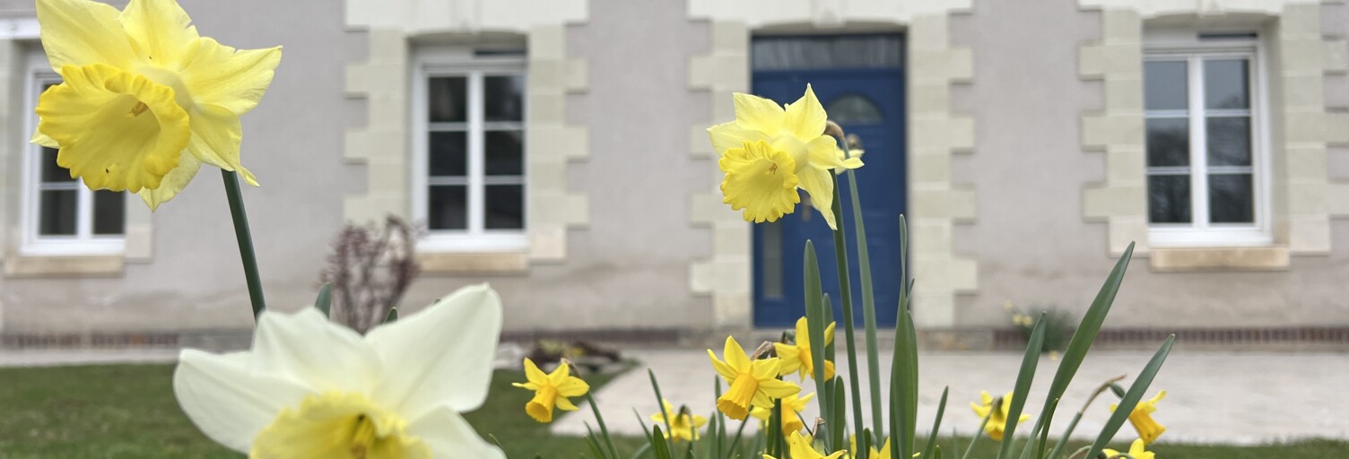 Maison 6 Pièces 135 m² à vendre à Vernou-sur-Brenne (37210)