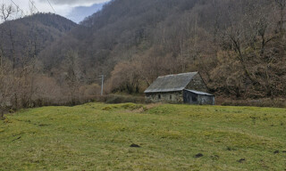 Photo N° 4