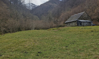 Photo N° 5