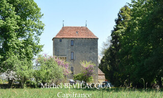 Maison 7 Pièces 246 m² à vendre à Ourouer-les-Bourdelins (18350)