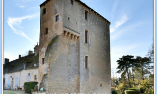 Photo N° 5