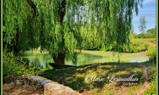 Photo N° 3