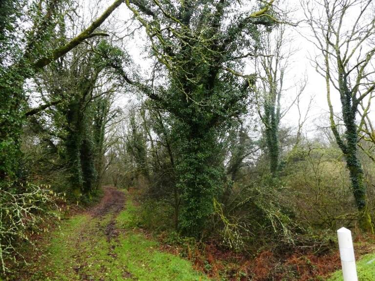 Terrain agricole — photo 1
