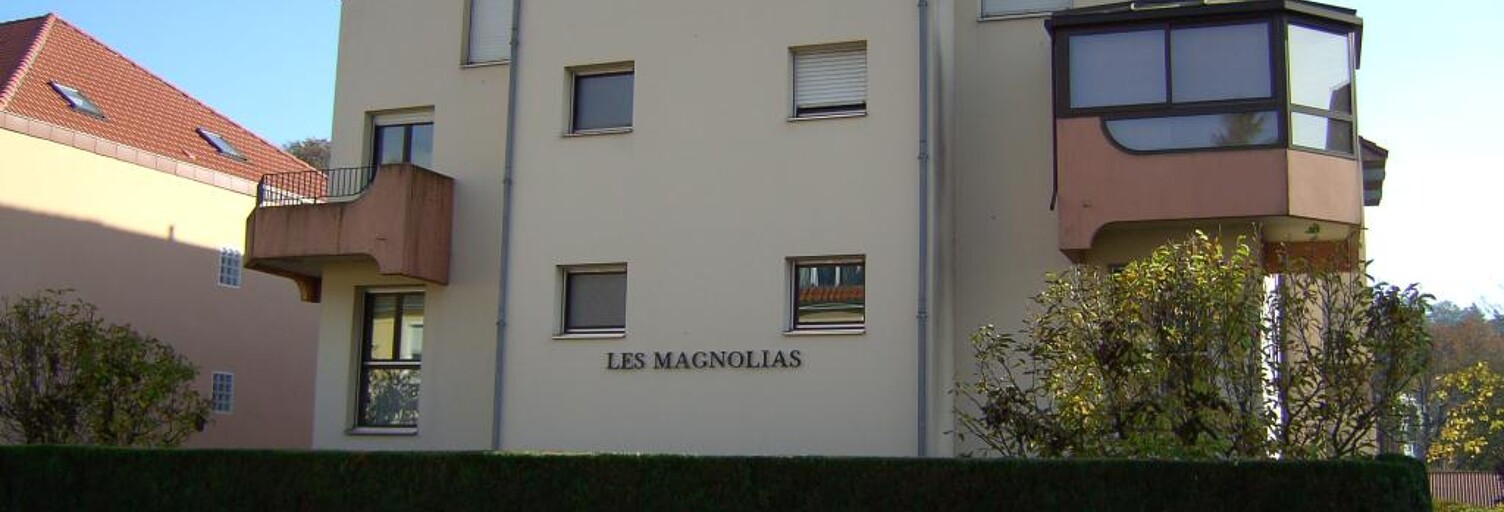 Appartement 1 Pièce 30 m² à louer à Saint-Avold (57500)