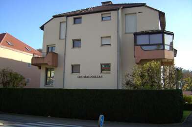 Appartement 1 pièces 390 €