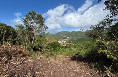Terrain ANSES D'ARLETS 1200m² — photo du bien