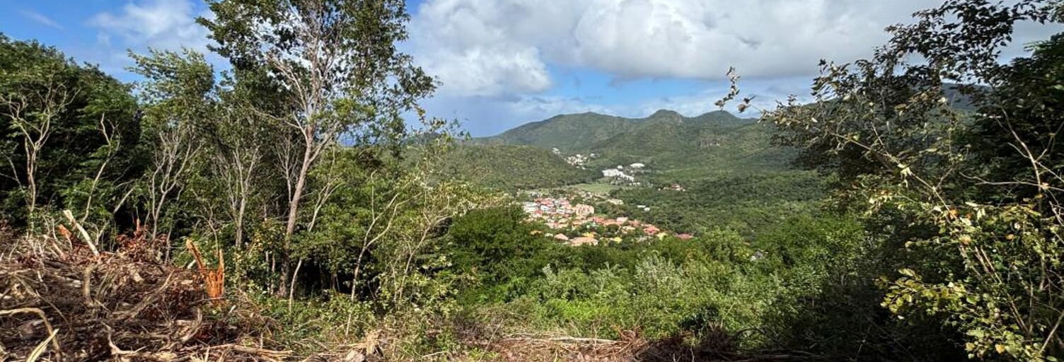 Terrain  1200 m² à vendre à Les Anses-d'Arlet (97217)