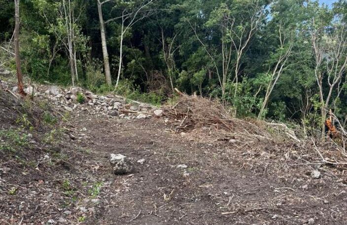 Terrain ANSES D'ARLETS 1200m² — photo 2