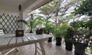 Appartement 1 Pièce 33 m² à vendre à Soorts-Hossegor (40150)