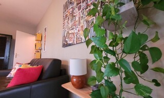 Photo N° 6