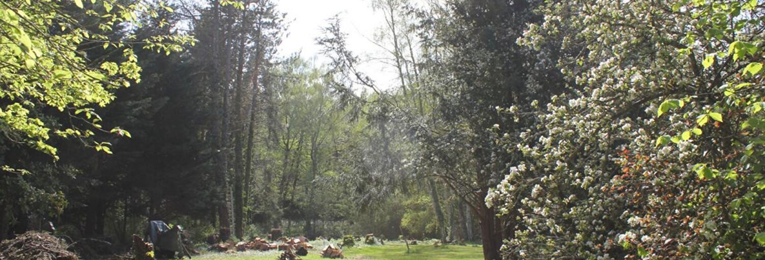 Terrain  4646 m² à vendre à Dampierre-en-Yvelines (78720)