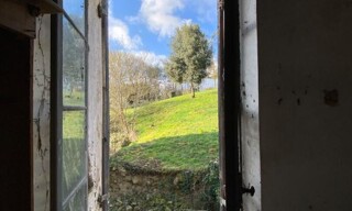 Photo N° 8