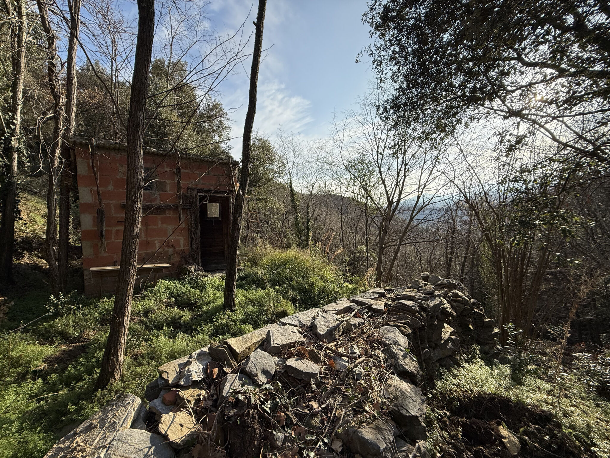 Terrain  à vendre Amélie-les-Bains-Palalda 66110