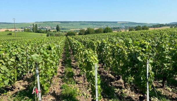 Terrain  à vendre Vandières 51700