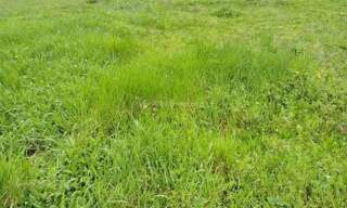 Terrain  779 m² à vendre à Laboutarie (81120)