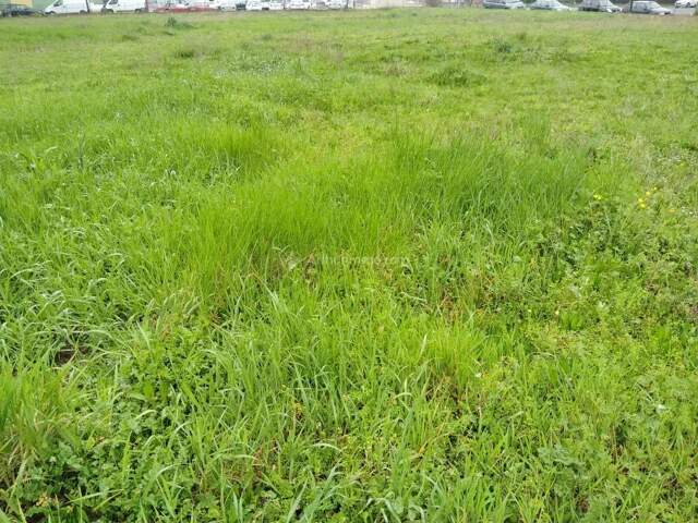 Terrain à Bâtir à Laboutarié : 779 m² — photo du bien