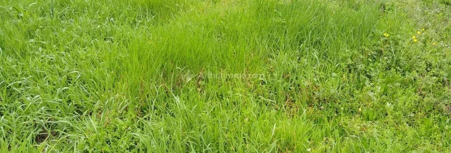 Terrain  779 m² à vendre à Laboutarie (81120)