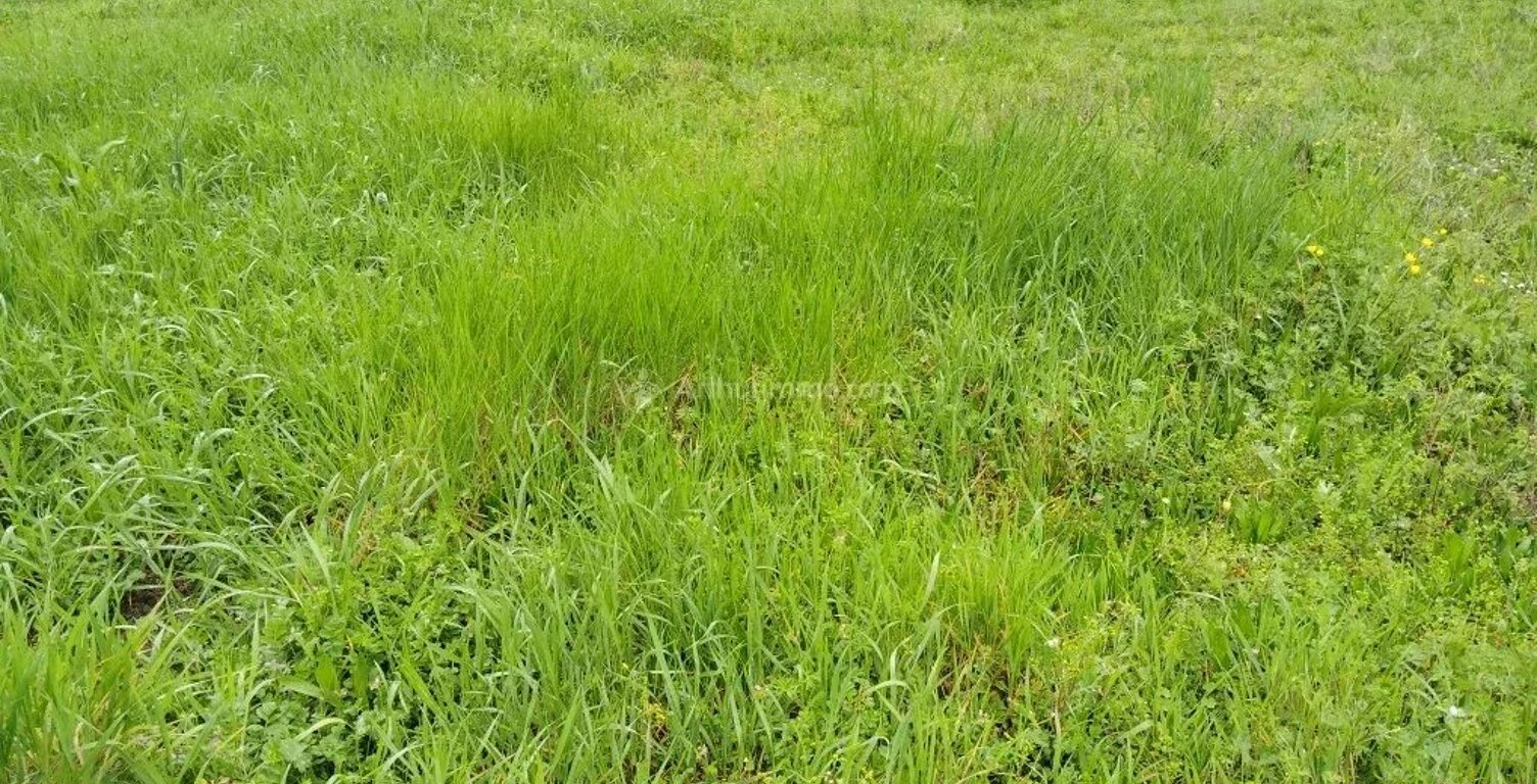 Terrain à Bâtir à Laboutarié : 779 m² — photo 1