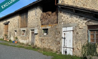 Photo N° 6