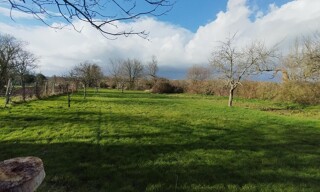 Photo N° 3