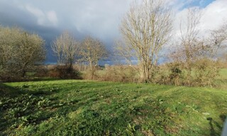 Photo N° 4