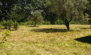Photo N° 4