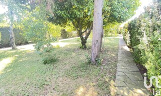 Photo N° 11