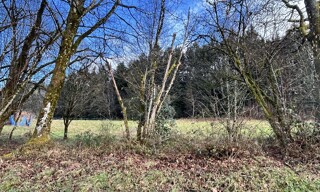 Photo N° 4