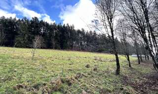 Terrain  6417 m² à vendre à Moyenmoutier (88420)