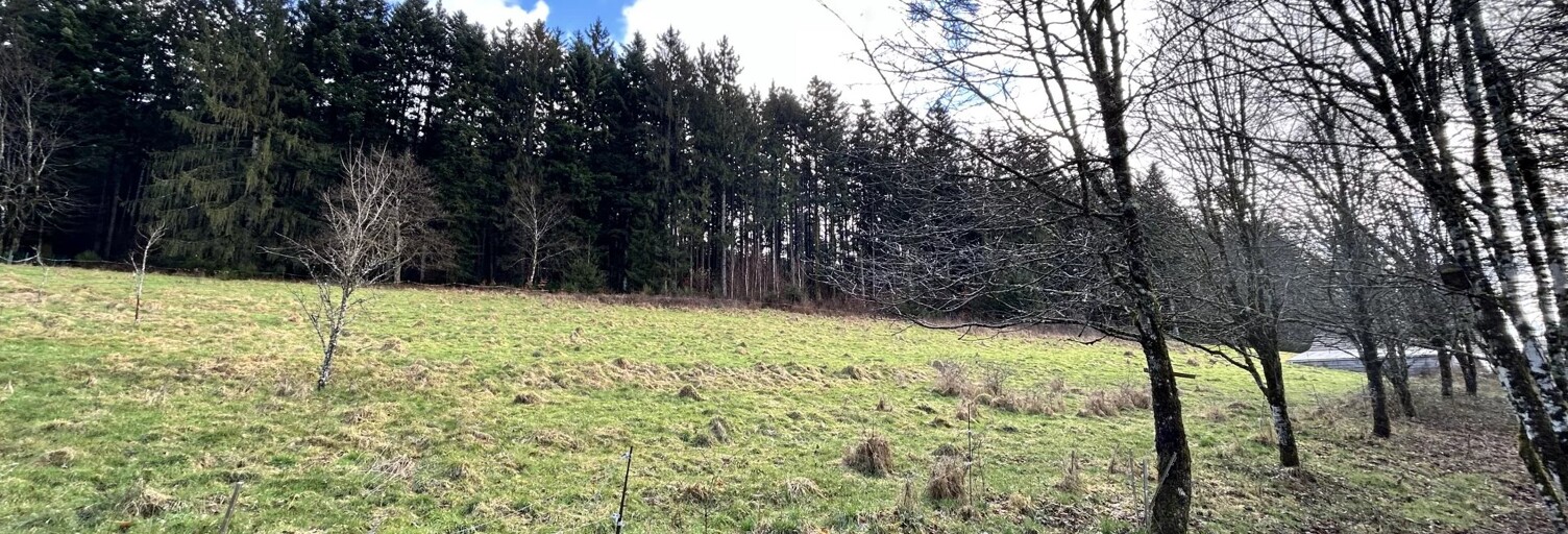 Terrain  6417 m² à vendre à Moyenmoutier (88420)