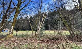 Terrain  6417 m² à vendre à Moyenmoutier (88420)