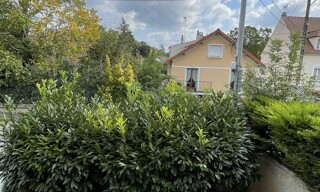 Photo N° 4