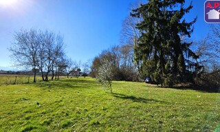 Photo N° 4