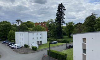 Photo N° 6