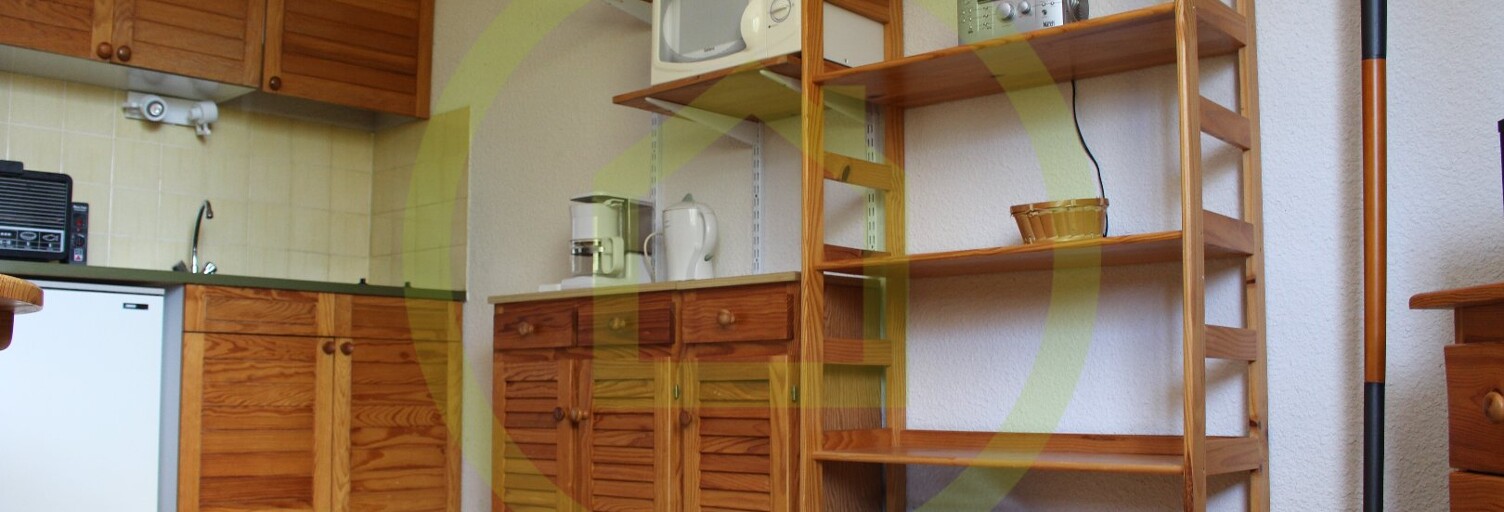 Appartement 1 Pièce 24 m² à vendre à Selonnet (04140)