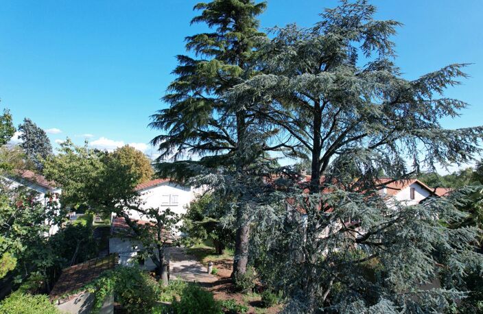 Maison Familiale Jardin arboré & Dépendance - Habitat ou Tertiaire — photo 3