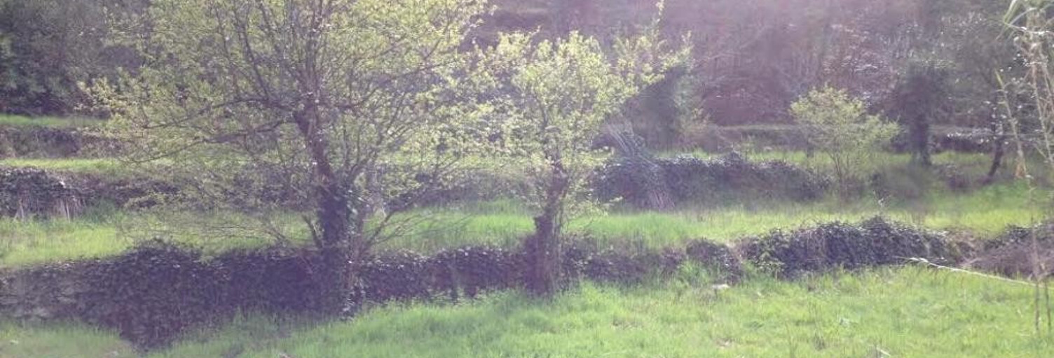 Terrain  2433 m² à vendre à La Trinité (06340)