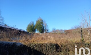 Photo N° 5