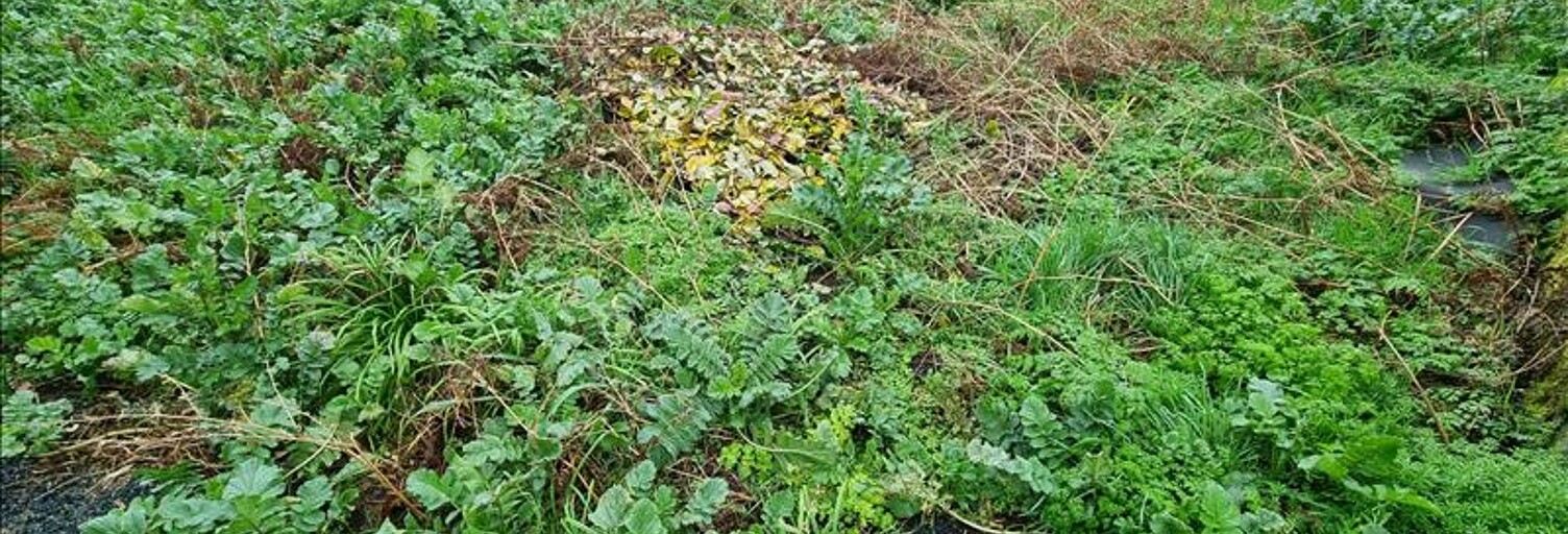 Terrain  932 m² à vendre à Treffiagat (29730)